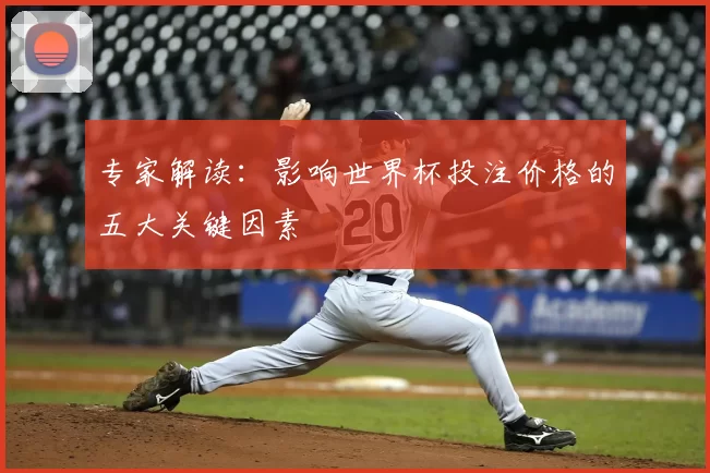 专家解读:影响世界杯投注价格的五大关键因素