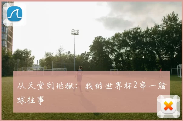 从天堂到地狱:我的世界杯2串一赌球往事