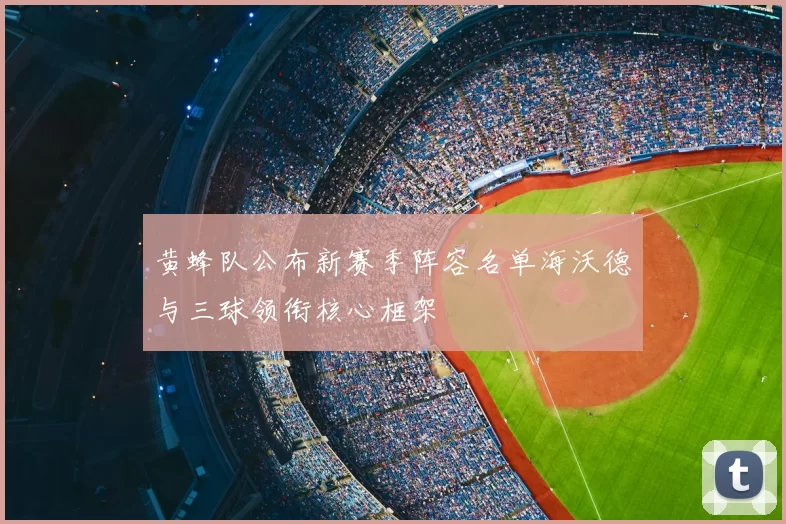 黄蜂队公布新赛季阵容名单海沃德与三球领衔核心框架