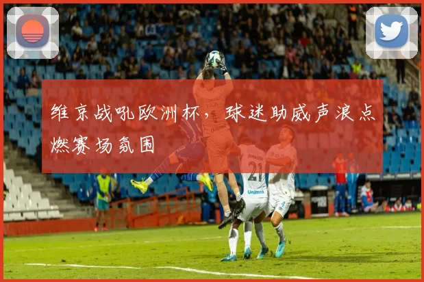 维京战吼欧洲杯,球迷助威声浪点燃赛场氛围