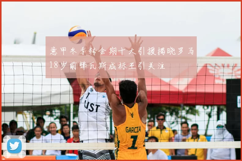 意甲冬季转会期十大引援揭晓罗马18岁前锋瓦斯成标王引关注