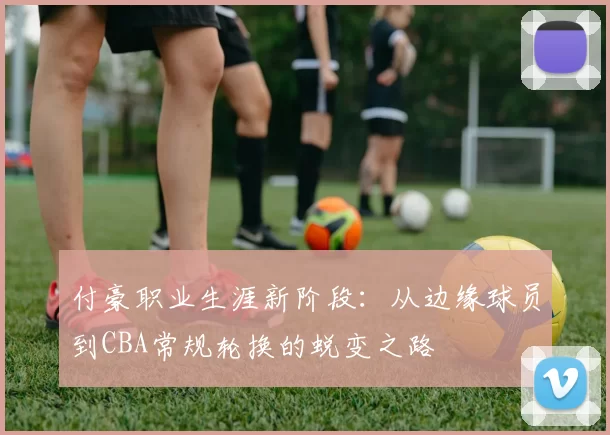 付豪职业生涯新阶段:从边缘球员到CBA常规轮换的蜕变之路