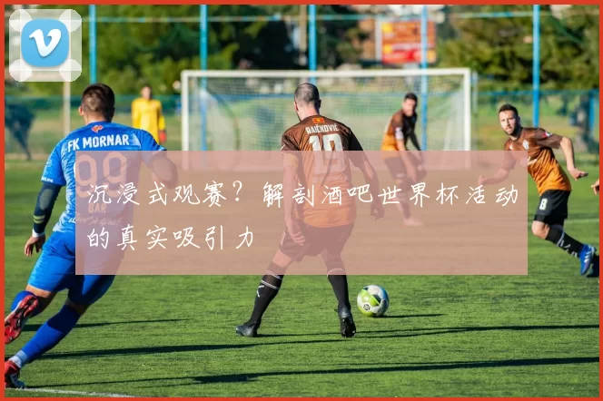 沉浸式观赛？解剖酒吧世界杯活动的真实吸引力