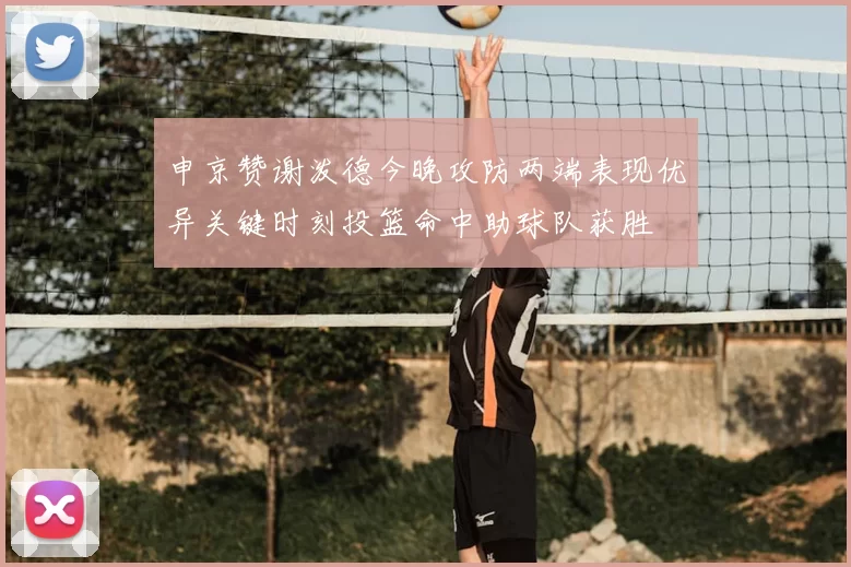 申京赞谢泼德今晚攻防两端表现优异关键时刻投篮命中助球队获胜