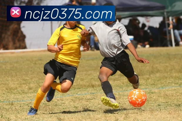 华体会体育平台生态图